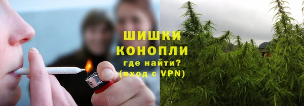 ALPHA PVP Гусев