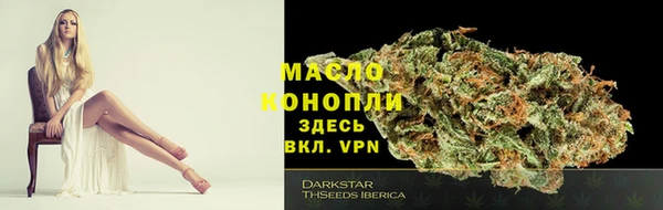 тгк Кизел