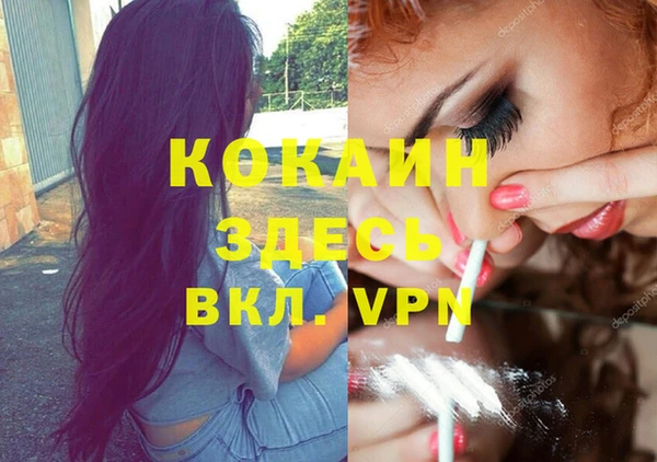 ALPHA PVP Гусев
