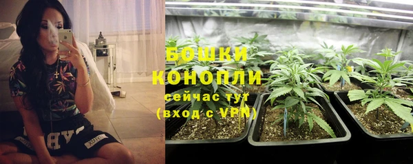 прущие крисы Гусь-Хрустальный