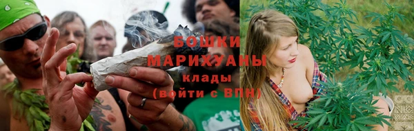 прущие крисы Гусь-Хрустальный