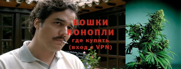 ALPHA PVP Гусев